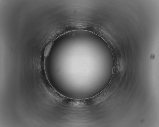 X0000097480512200802221355