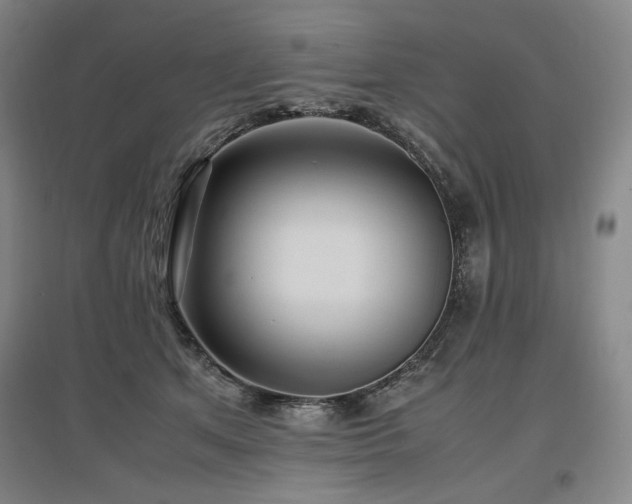 X0000097480513200802221355