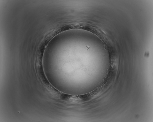 X0000097480515200802221355
