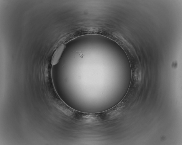 X0000097480516200802221355