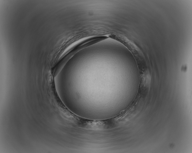 X0000097480517200802221355