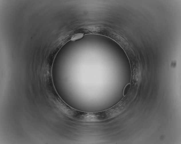X0000097480518200802221355