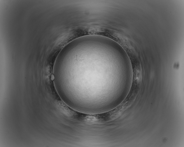 X0000097480519200802221355