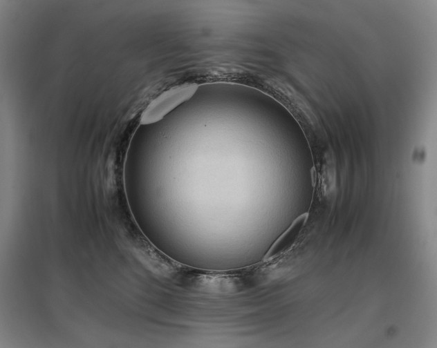 X0000097480520200802221355