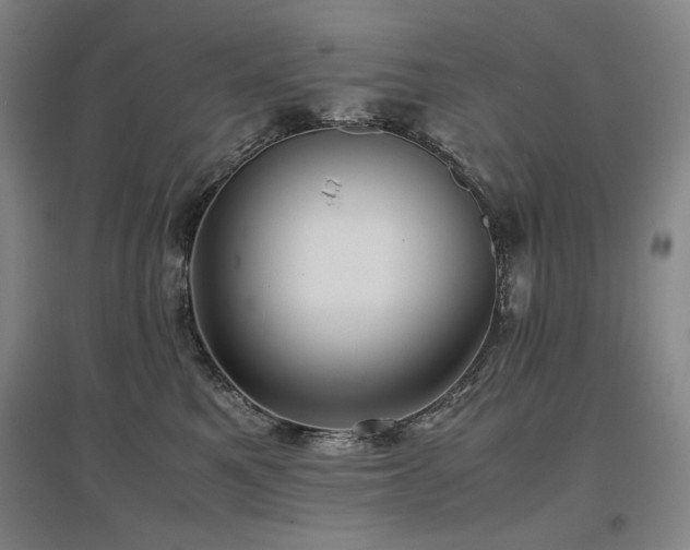 X0000097480521200802221355