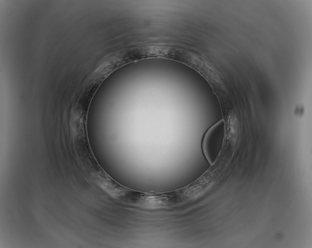 X0000097480522200802221355