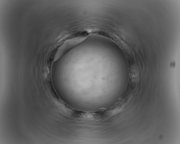 X0000097480523200802221355
