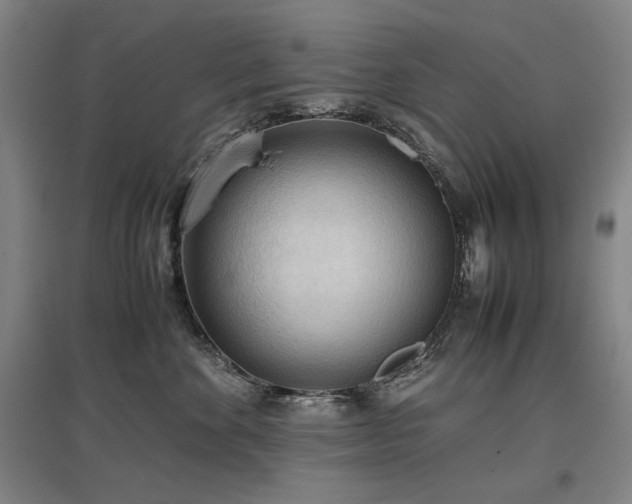X0000097480524200802221355