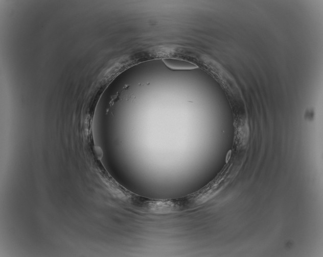 X0000097480525200802221355