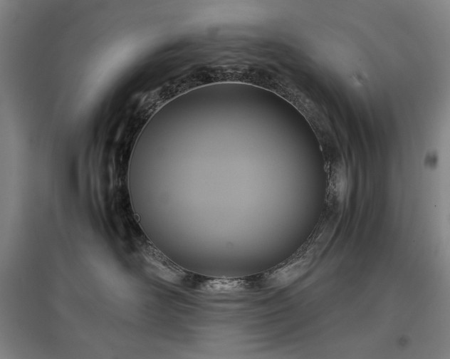 X0000097480526200802221355