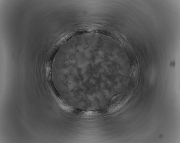 X0000097480527200802221355