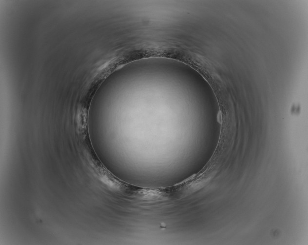 X0000097480528200802221355