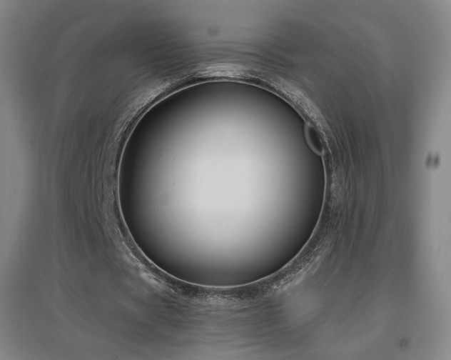 X0000097480529200802221354