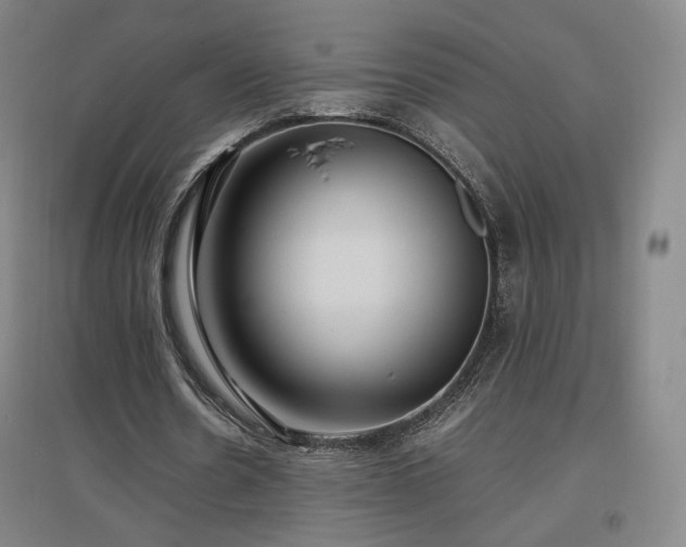 X0000097480530200802221354