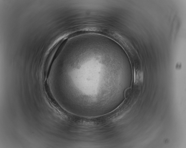 X0000097480531200802221354