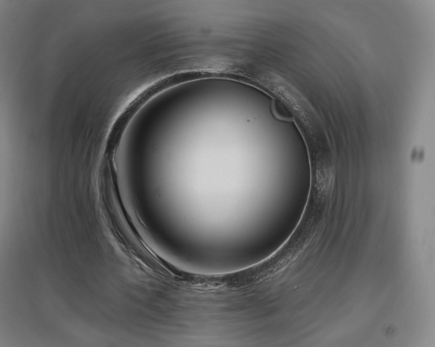 X0000097480532200802221354