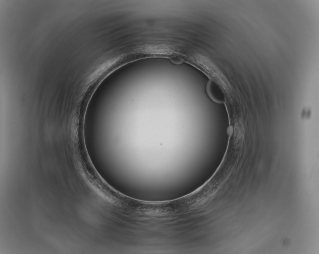 X0000097480533200802221354
