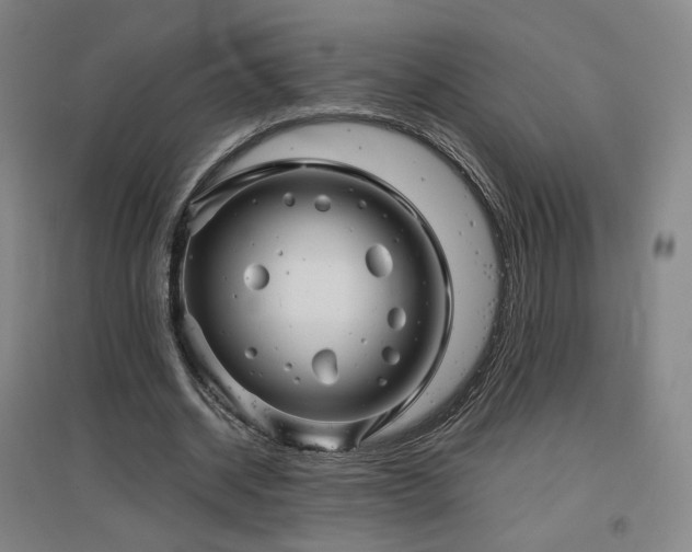 X0000097480534200802221354