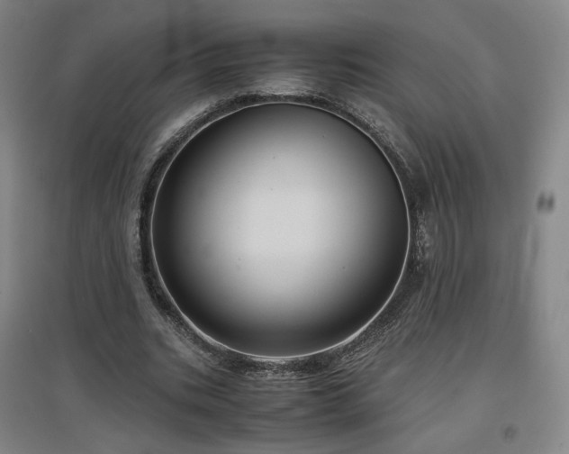 X0000097480535200802221354