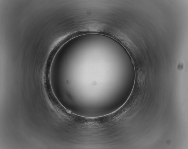 X0000097480536200802221354