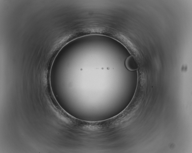 X0000097480537200802221354