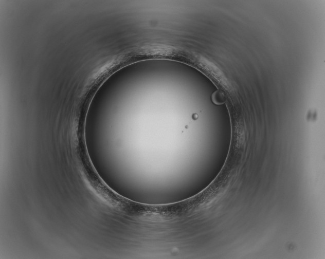 X0000097480538200802221354