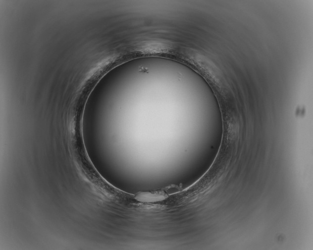 X0000097480539200802221354