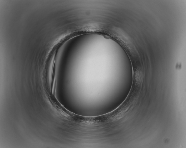 X0000097480540200802221354