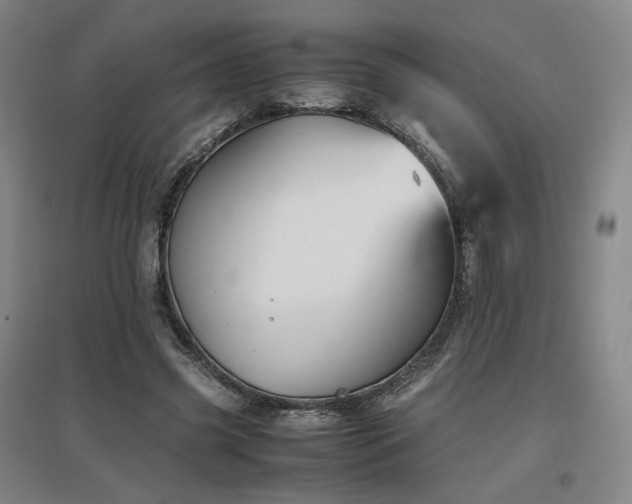 X0000097480541200802221354
