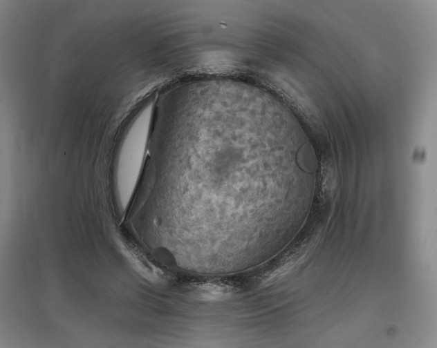 X0000097480542200802221354