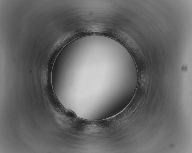 X0000097480544200802221354