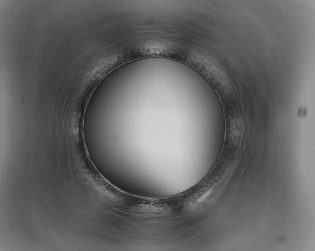 X0000097480545200802221354