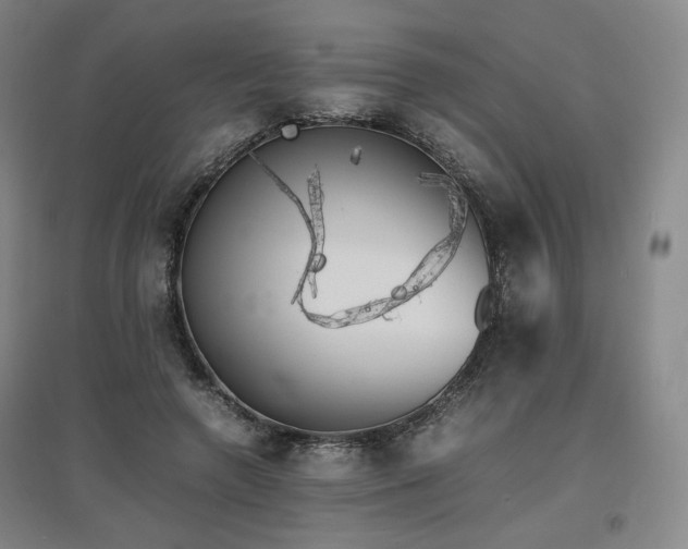 X0000097480546200802221354