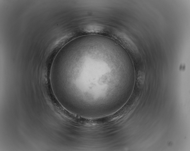X0000097480547200802221354