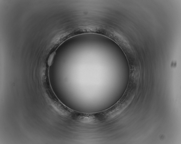 X0000097480548200802221354