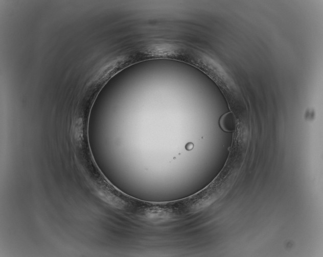 X0000097480549200802221354