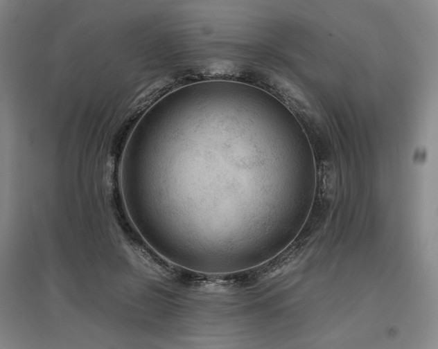 X0000097480550200802221354