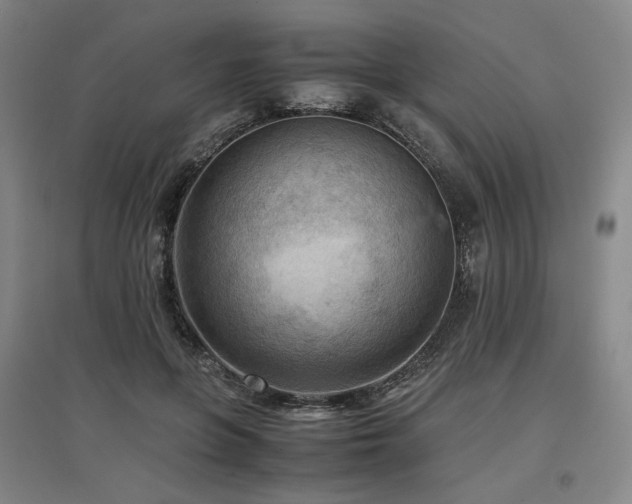 X0000097480551200802221354