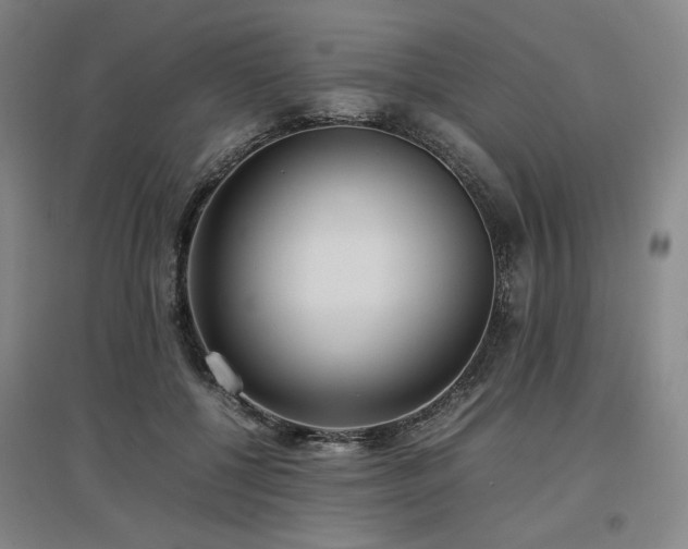 X0000097480552200802221354
