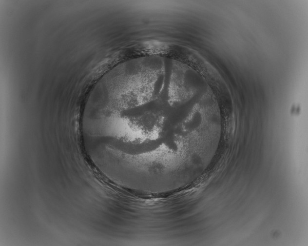 X0000097480553200802221354