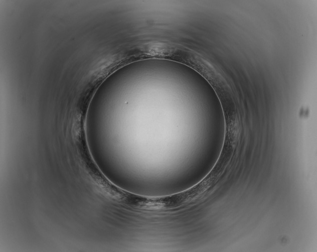 X0000097480554200802221354