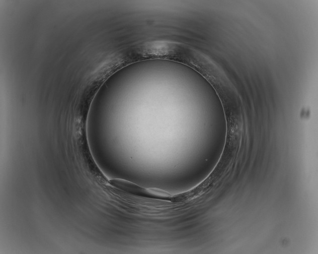 X0000097480555200802221354