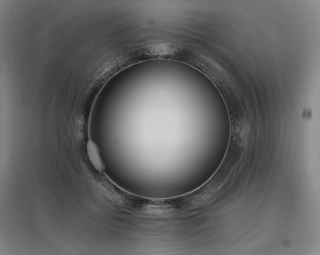 X0000097480556200802221354