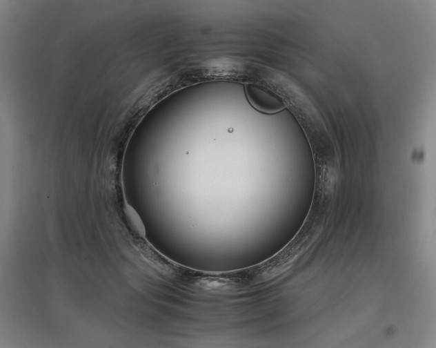 X0000097480557200802221354