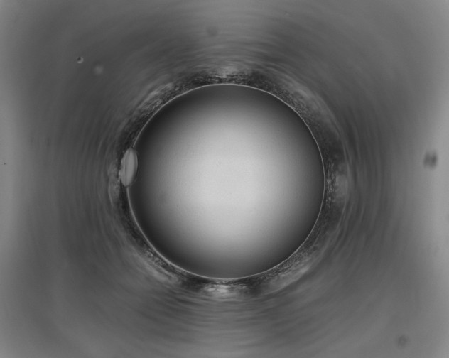 X0000097480558200802221354