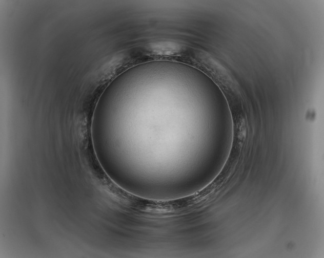 X0000097480559200802221354
