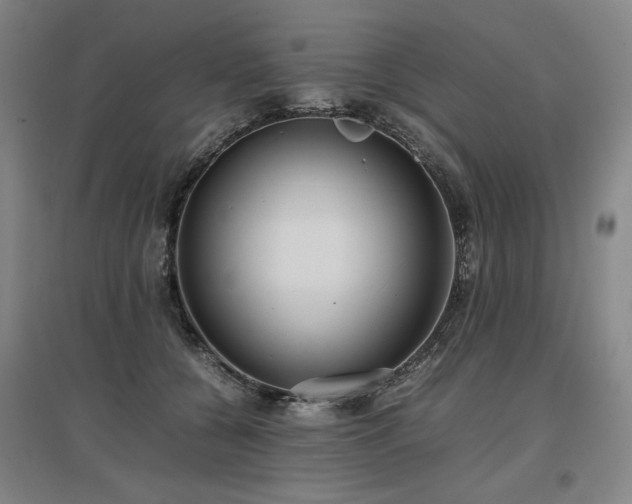 X0000097480560200802221354