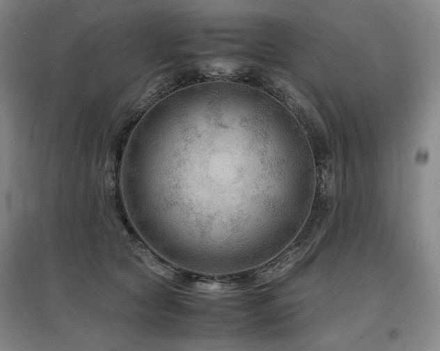 X0000097480561200802221354