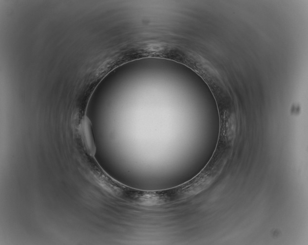 X0000097480562200802221354