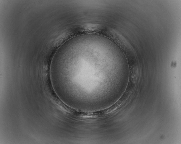 X0000097480563200802221354